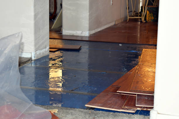 Professional Flood Cleanup technician working in Hartline, WA