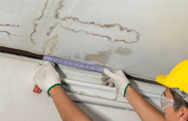 Reliable Flood Cleanup contractor in Hartline, WA by Water Damage Irwin